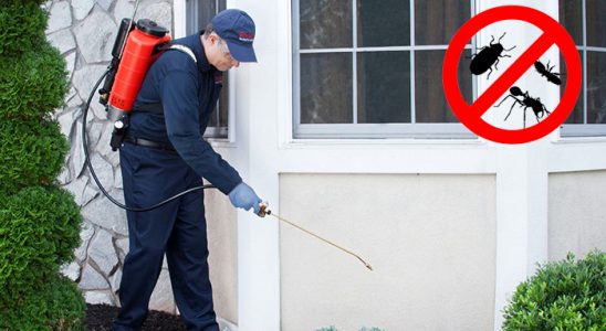 Ağrı Kemirgen İlaçlama böcek ilaçlama ve haşere kontrolü — ilaclama-tr.com